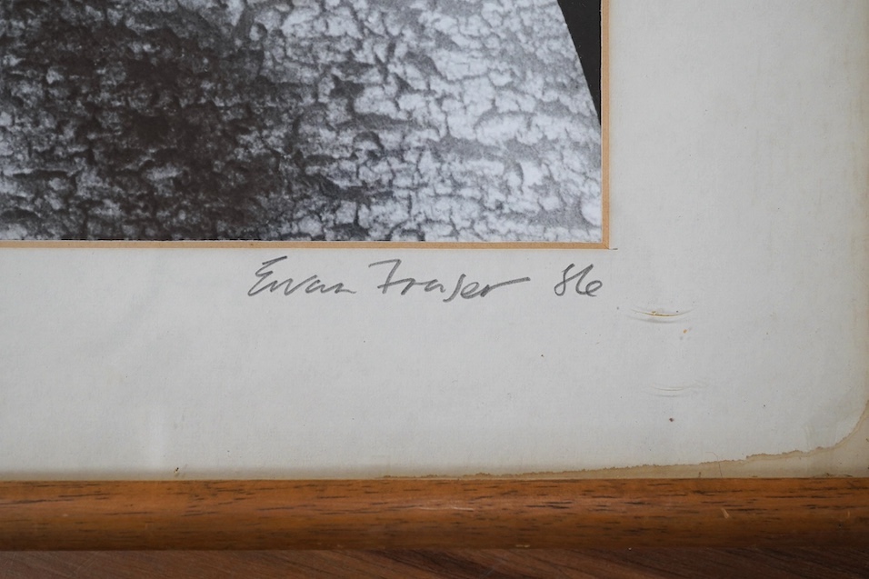 Ewan Fraser (20th.C), photographic print, Man with fish, signed and dated '86, together with an unsigned example, ‘Sardines’, largest 36 x 40cm. Condition - good